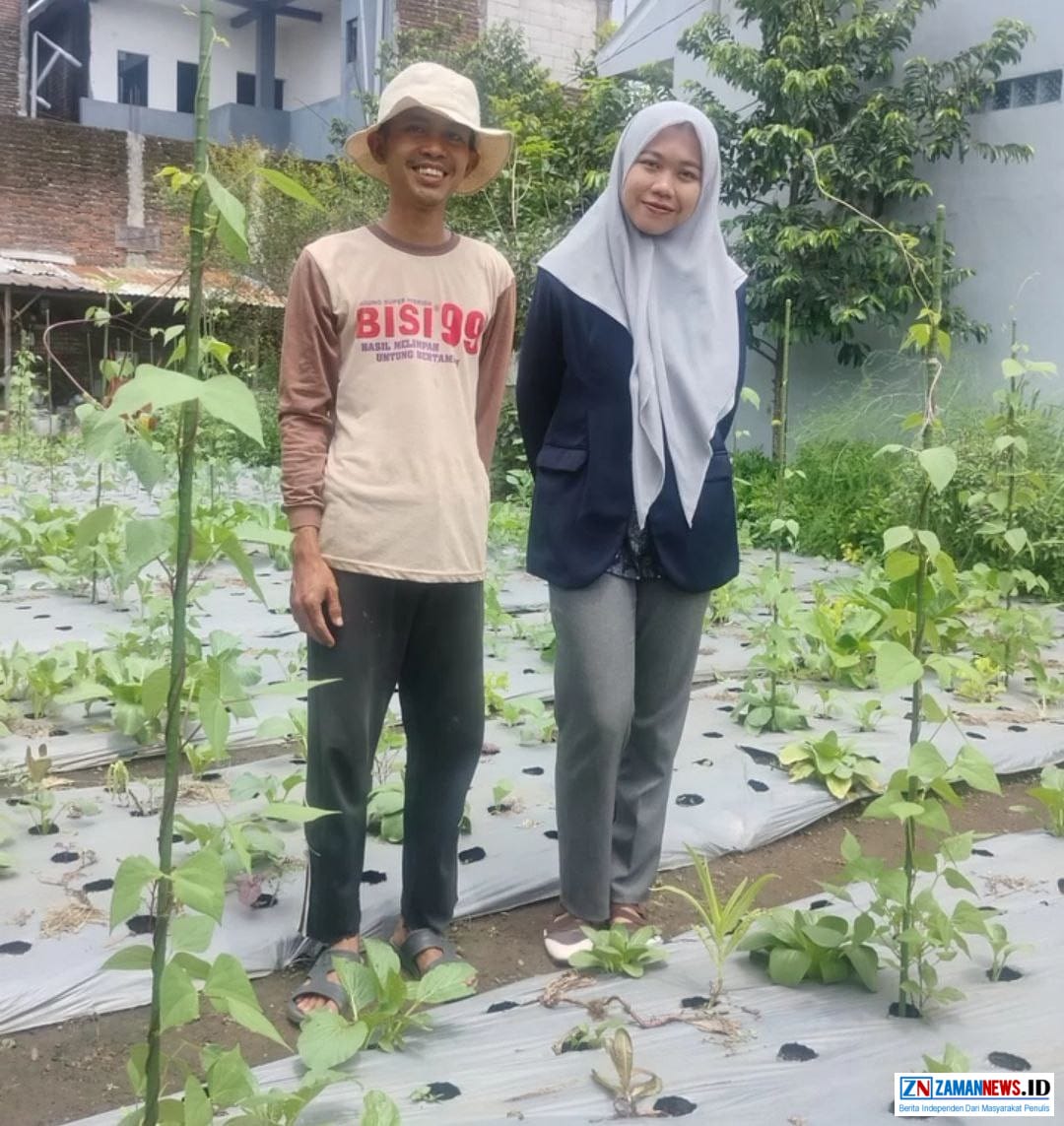 Pak Jasmito, PT Orgo Organic Farm, Orgomedia, Petani Organik, Pertanian Terpadu, Guru Honorer, Konten Kreator, Inspirasi Pertanian