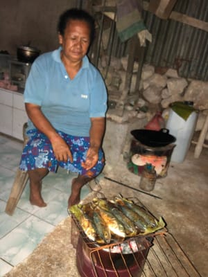 Kompor Briket Bantala, Energi Terbarukan, Desa Bantala, Flores Timur, YPPS, Limbah Kelapa, Kesejahteraan Petani, Ekonomi Kreatif